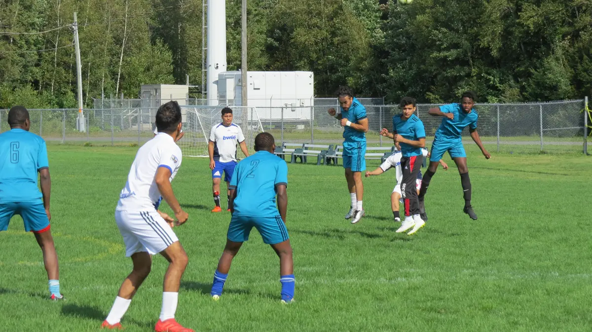 Esprit d'équipe et collaboration