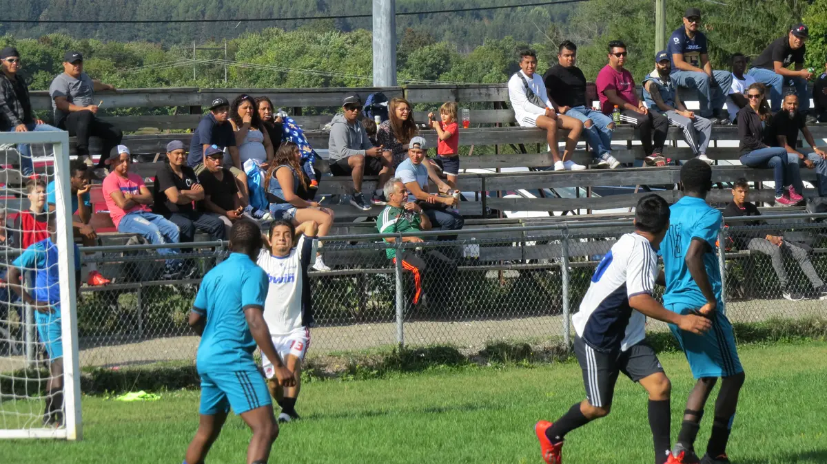 Esprit d'équipe et collaboration